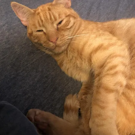 Hyggeligt Gammelt Hus I Ry